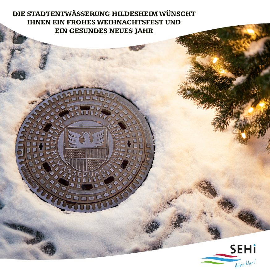 Hintergrundbild für Artikel: 